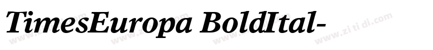 TimesEuropa BoldItal字体转换